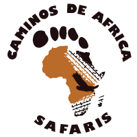 caminosdeafricasafaris.com